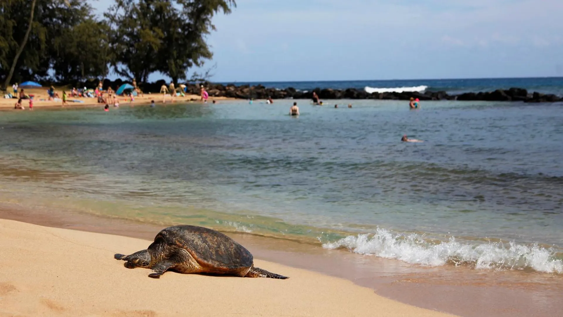 Pili Mai 14K Apartment Koloa United States